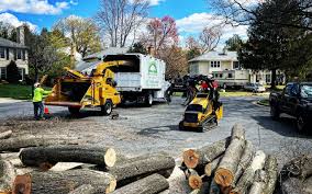 Best Emergency Tree Removal  in New Franklin, MO